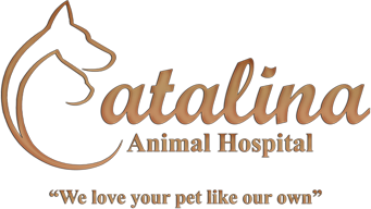 Catalina Animal Hospital, LLC